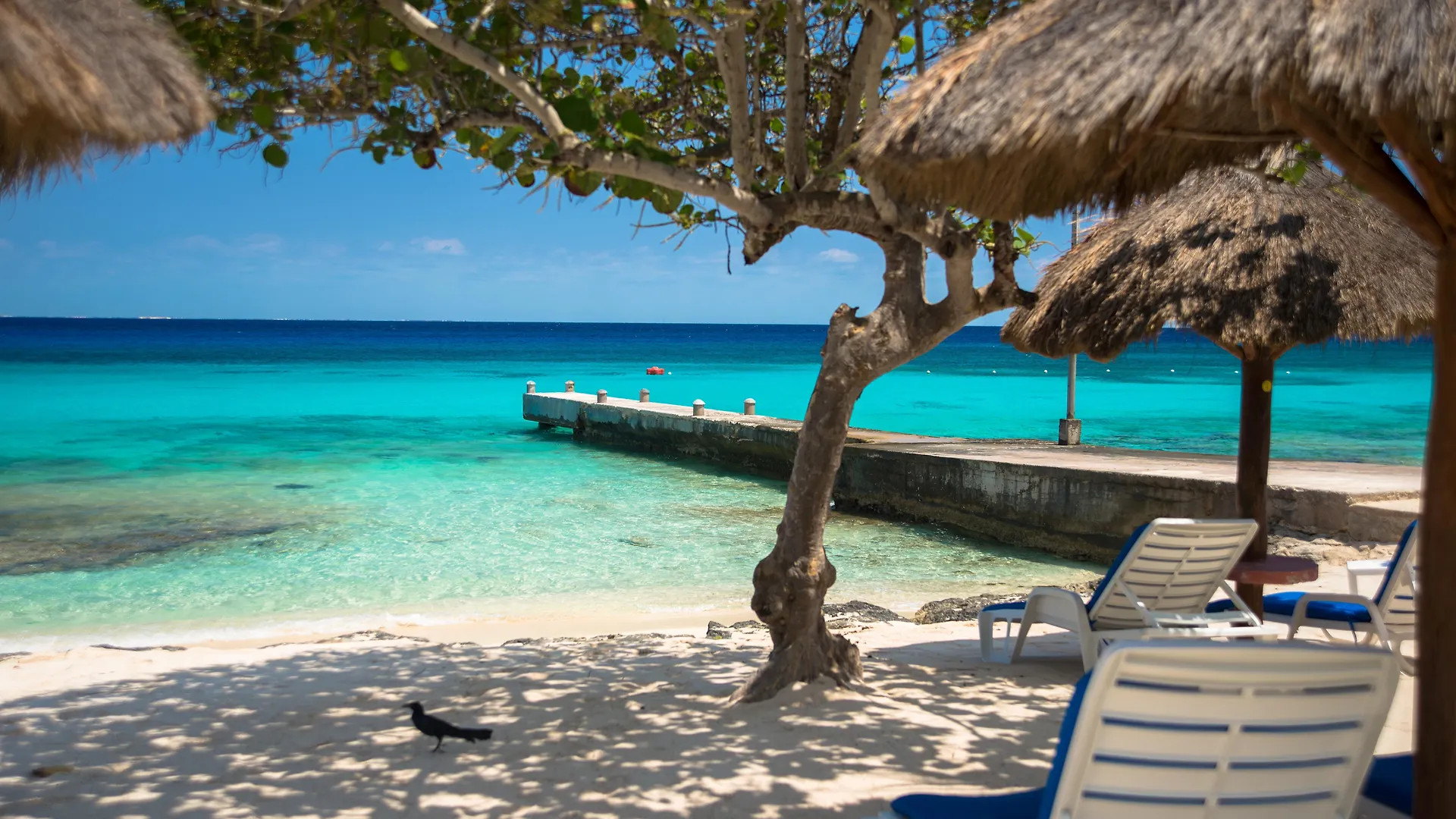 Playa Azul Cozumel Hotel